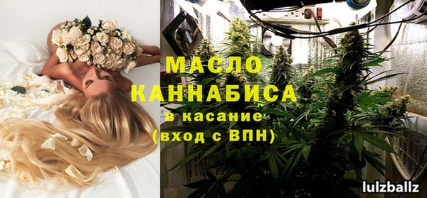 скорость Ельня