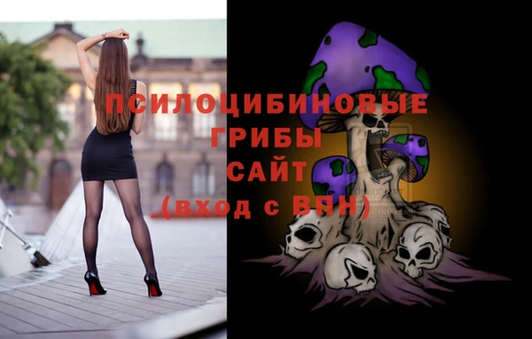 скорость Ельня