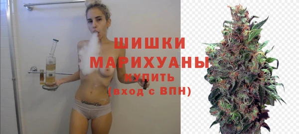 скорость Ельня