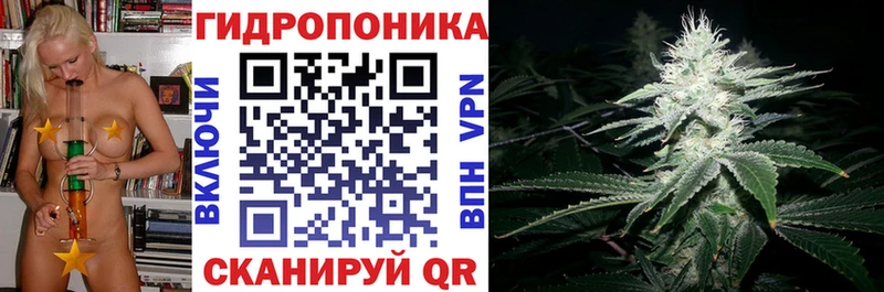 darknet клад  Чернушка  МАРИХУАНА VHQ 
